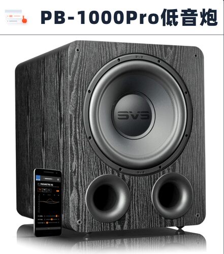 PB1000Pro家庭影院音箱svs