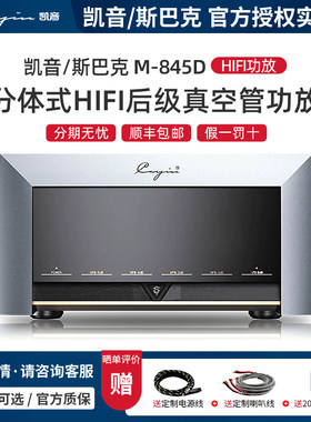 Cayin分体式HIFI胆机功放真空管