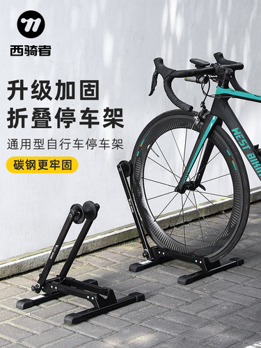 毛蕊花属