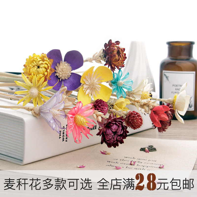干花香薰瓶无火挥发精油藤条通草花在室内房间香氛配件麦秆七彩菊|msdalam kategori Care pembersih/tuala wanita/kertas/Aromatherapy, Aromatherapy Products, aroma Spice - dari Buy2taobao.com untuk memberikan perkhidmatan ejen Taobao profesional membeli