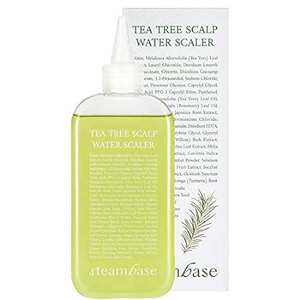 STEAMBASE Tea Tree Scalp Water Scaler| Cleansing， Purify