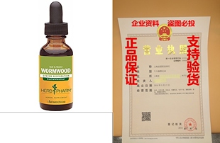 Wormwood Digestive Certified Herb Organic for Pharm Extract