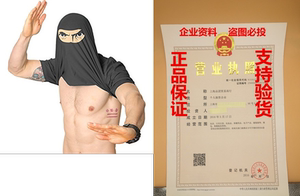 Ask Me About My Ninja Disguise Flip T Shirt Funny Karate Tu