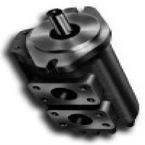 天津供应齿轮泵G5-30-6-1E13S-20-R双联泵参数图（现货）