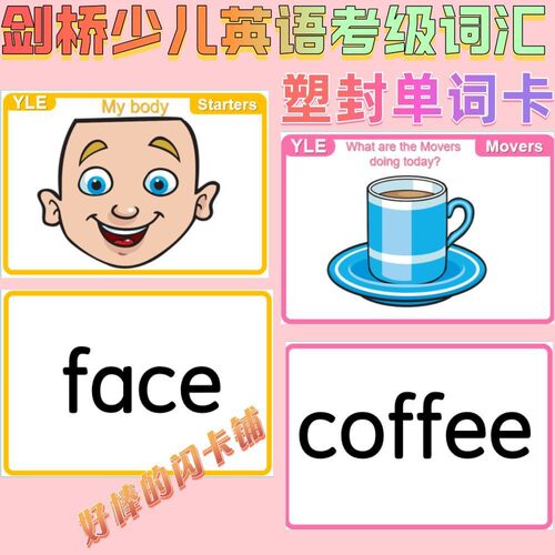 剑桥少儿英语YLE YoungLearnEnglish单词教学闪卡教师教具塑封
