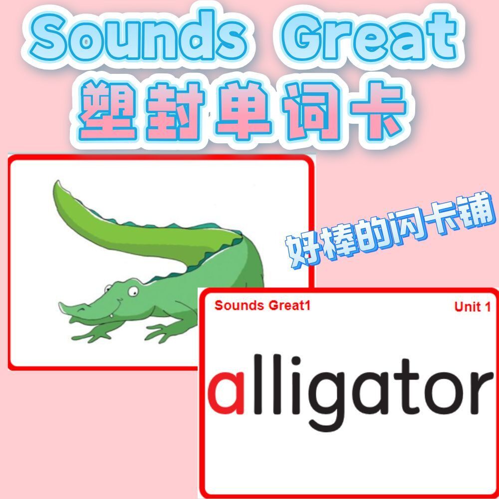 Sounds Great自然拼读塑封双面单词卡闪卡英文学习英语教学教具