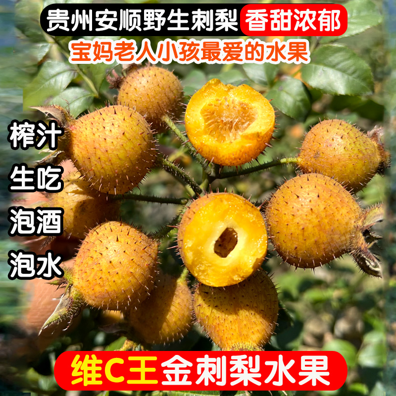 新鲜无籽金刺梨水果现摘现发