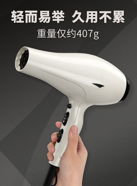 火之凤6600H电吹风家用大功率理造型快电吹风发店发型师专用速干