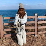 韩系撞色拼接立领羽绒服女2025年冬季新款高级感加厚90白鸭绒外套，女装短外套，2C221