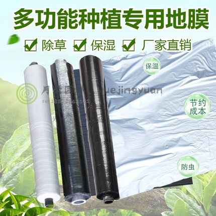 银黑地膜双色反光膜农用除草黑地膜保温保湿灰白薄膜果园果树防虫