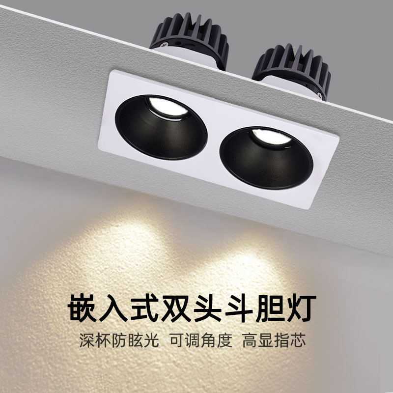 10W商用双头店铺防眩光斗胆灯