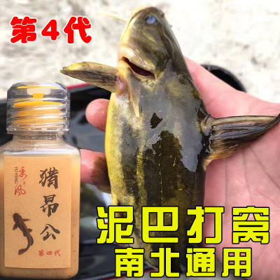 黄辣丁饵料小药昂刺鱼窝料诱饵