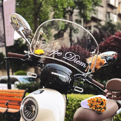 Carpe Diem及时行乐电动车挡风板反光摩托车贴纸前风挡玻璃装饰贴
