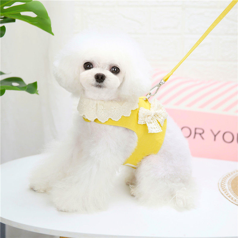 小狗狗胸背带牵引绳泰迪比熊小型犬外出牵狗绳子宠物背心式遛狗绳,宠物/宠物食品及用品,狗牵引绳,淘宝优惠券,粉丝福利购,淘宝优惠卷