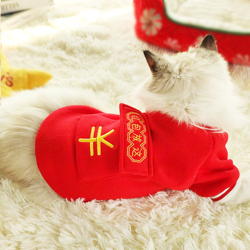 猫咪狗狗幼猫的过年冬装