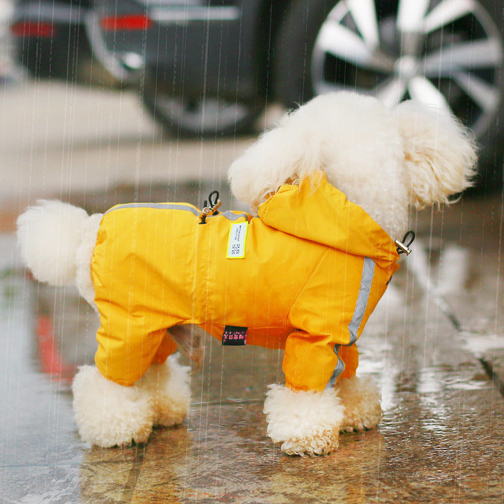 宠哆哆宠物雨天雨披衣服图片