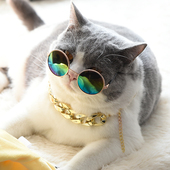 狗狗金链子猫法斗黄金狗链子狗脖子饰品装 饰品潮猫咪项圈宠物项链