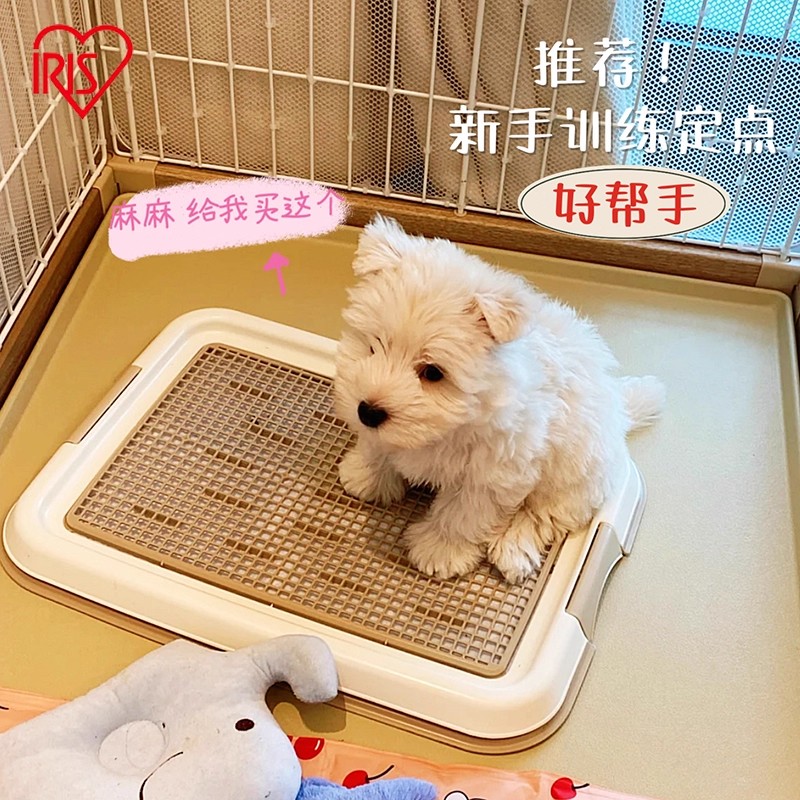 爱丽思宠物狗厕所托盘平板尿尿盆