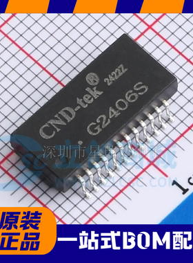 原装正品 G2406S 贴片SOP-24网络滤波器网络变压器ic芯片