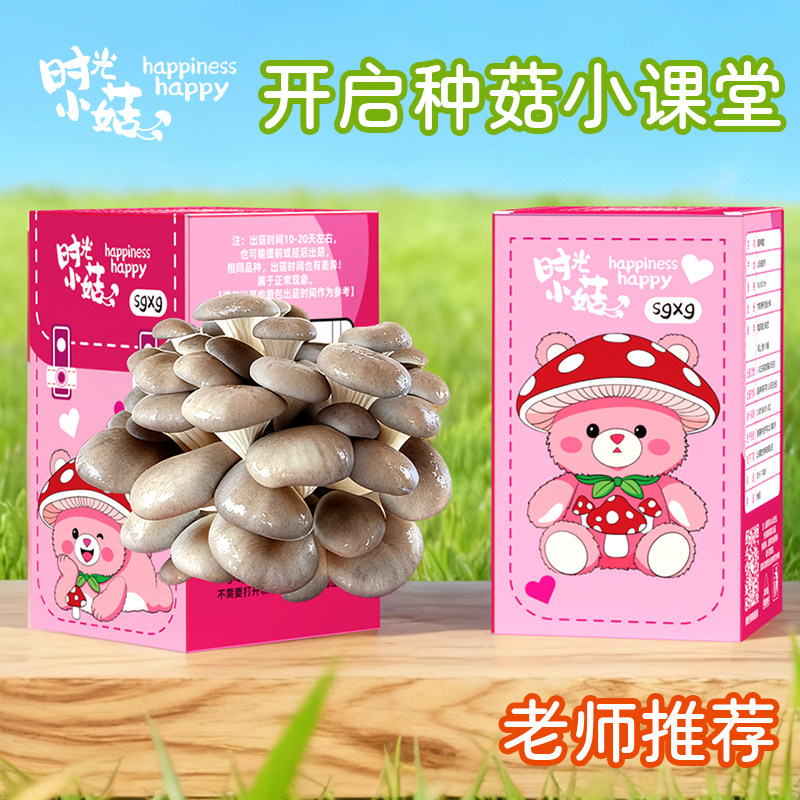 家庭种蘑菇菌包平菇礼盒装袋装可食用菌阳台种植蘑菇栽培蘑菇盒子,鲜花速递/花卉仿真/绿植园艺,多肉植物,淘宝优惠券,粉丝福利购,淘宝优惠卷