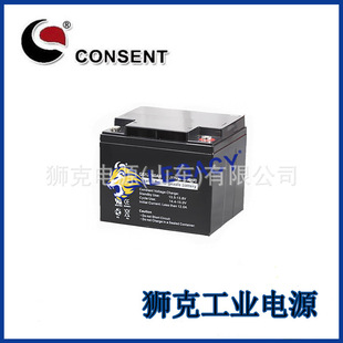 美国CONSENT蓄电池GS12V24AH GS12V50AH GS12V6H全系列型号