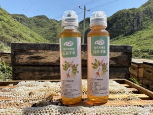 蜂农小姜蜂蜜无加工 500g×2挤压瓶  五倍子蜜槐花蜜荆条蜜枣花蜜