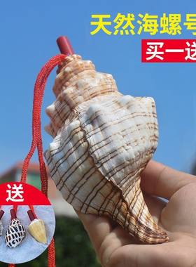 包邮倾听大海声天然螺号小螺吹羊角螺口哨儿童玩具礼物挂饰工艺品