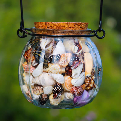 青岛海底世界旅游纪念品天然贝壳海螺海星南瓜瓶装饰摆件冰箱贴