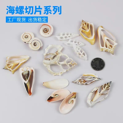 天然贝壳海螺切片短刺螺玫瑰螺子弹螺三角片手工切片DIY项链材料