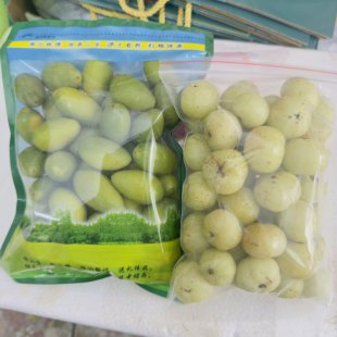 金灶小强青枣脆橄榄饼甜油甘各一斤新鲜采摘果园生吃煲汤包邮