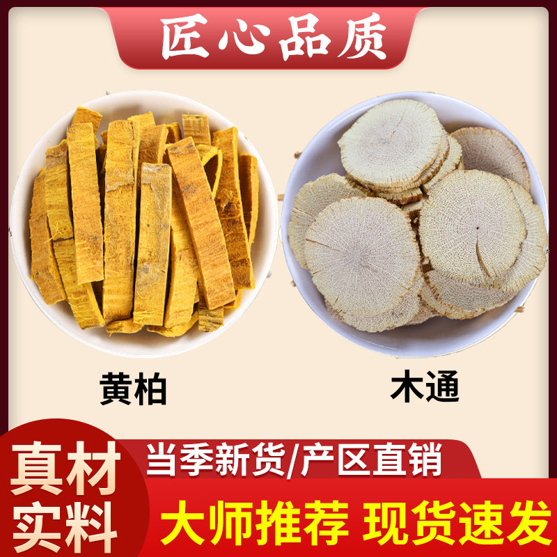 黄柏木通汤黄柏6g木通4g克中药材黄檗黄白木通片泡水煮水喝的功效