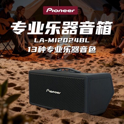 先锋Pioneer LA-MI2024BL大功率240W专业户外弹唱直播内录音箱