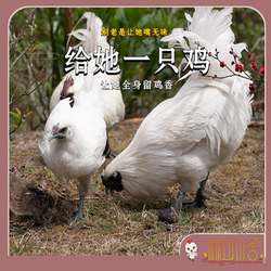 林边小舍腾冲雪鸡母鸡山林散养新鲜整只虫草鸡老鸡正宗生态乌骨鸡