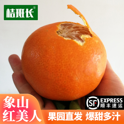象山红美人爱媛28号新鲜采摘桔子