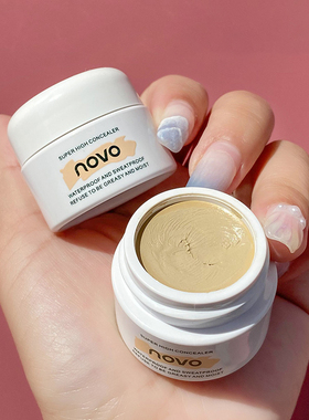 Professional Full Coverage Flawless Makeup Texture Concealer