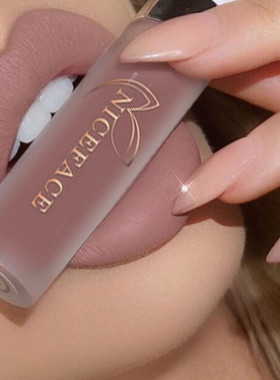 Matte Liquid Lipstick Waterproof Long Lasting Velvet Mate Nu