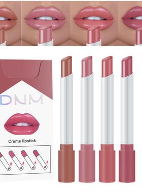 4 Colors Makeup Lipstick Cosmetics Lipstick Set Lip Tint Lip