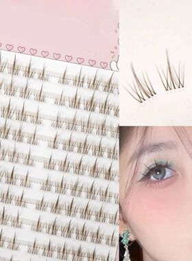 Brown Sunflower False Eyelashes Black Natural Manga Lashes A