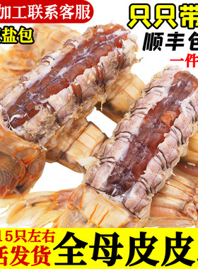 全母皮皮虾鲜活全膏带籽