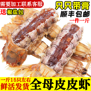 全母皮皮虾鲜活全膏带籽虾爬子即食濑尿虾海鲜水产活发