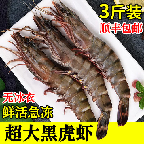 大号黑虎虾虾斑节虾竹节虾3斤装