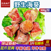 青岛信杰水产野生海葵新鲜海腚根顺丰 鲜活海鲜海触子生鲜沙蒜 包邮