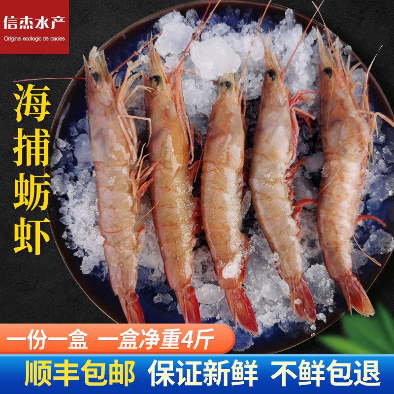 青岛新鲜蛎虾鲜活海虾包邮鲜活海鲜冷冻水产深海鹰爪虾沙虾大立虾
