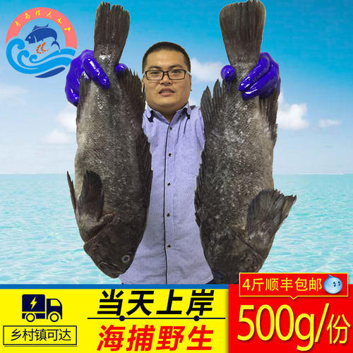 青岛海捕黑头鱼鲜活海鱼包邮海鲜冷冻水产新鲜豆腐鱼猪嘴鱼寨花鱼 - 封面