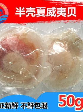 野生半壳夏威夷贝新鲜扇贝包邮鲜活水产海鲜贝类冻元贝半壳虾夷贝