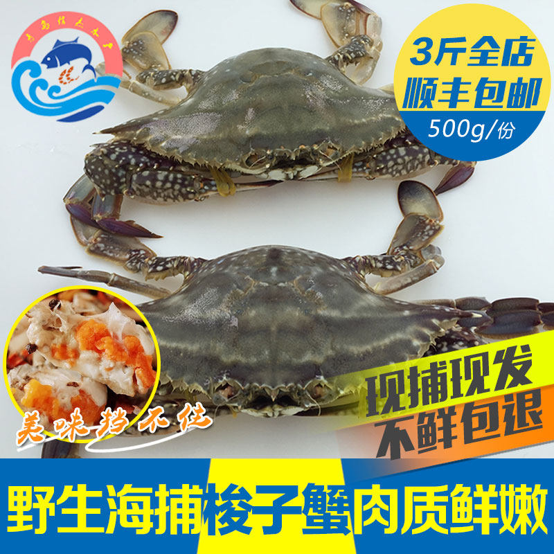 青岛信杰水产白蟹螃蟹野生包邮新鲜海鲜飞蟹枪蟹海螃蟹新鲜梭子蟹