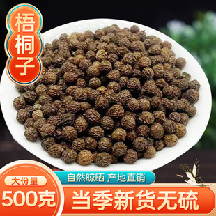 中药材油桐籽500克 梧桐籽 瓢儿果 梧桐子 桐麻豌桐油树子