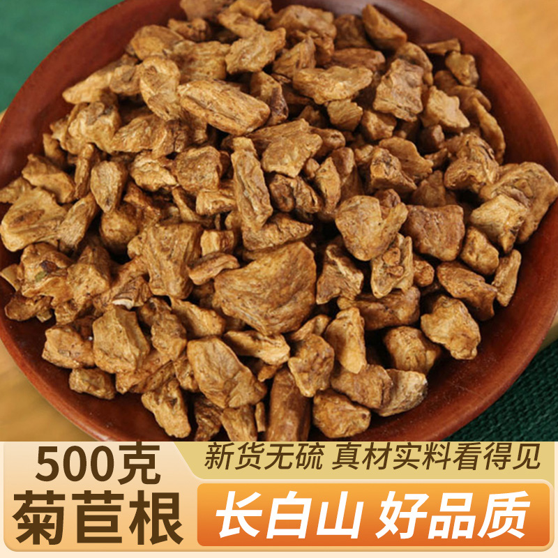 野生长白山正品菊苣根栀子