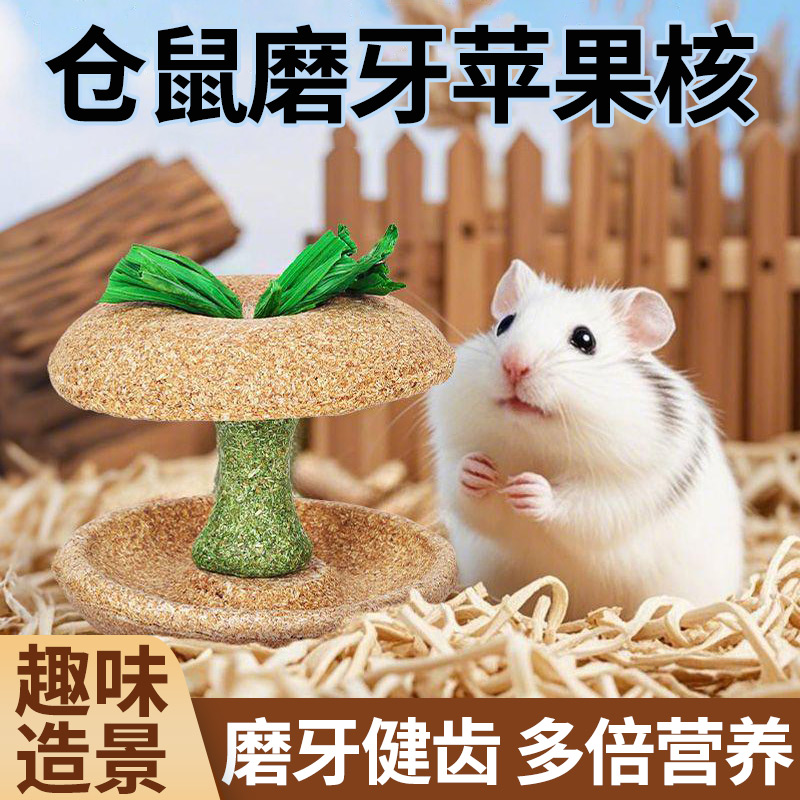 仓鼠粮食磨牙苹果核金丝熊营养解闷小零食玩具造景用品大全