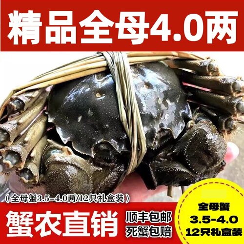 特产鄂州螃蟹精品鲜活